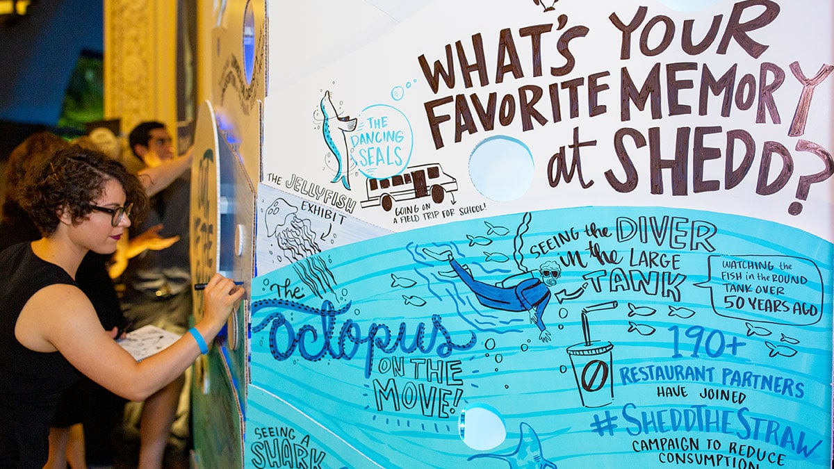 Live drawing at the Shedd Aquarium's annual fundraiser